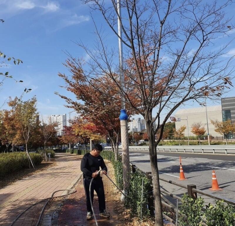 도로변 가로수 관수 지원